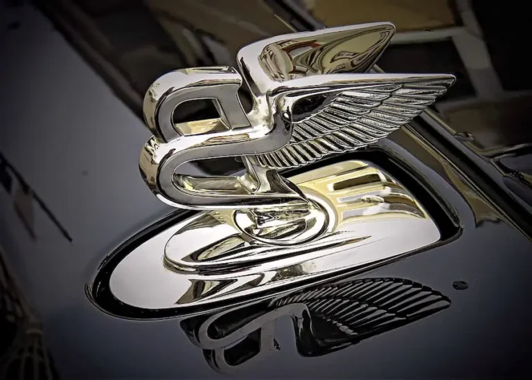 Majestic Journey of Bentley's Flying B Mascot