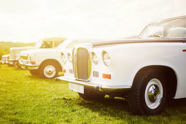 Vintage Charms: A Nostalgic Journey Through Classic Cars and Their Timeless Appeal